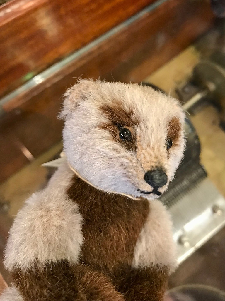 高橋美智代【Teddy badgerアナグマ No1】 | 清里高原メイフェア