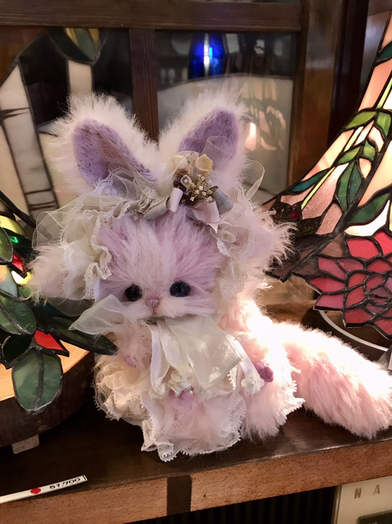細川祐子【20cmkitten Sumire Shlphide】 | 清里高原メイフェア
